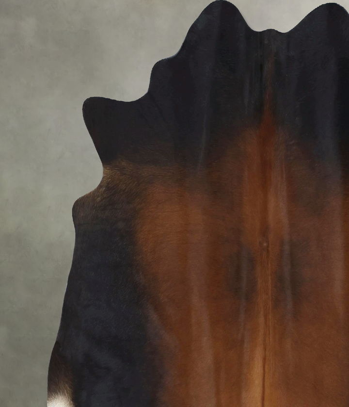 Warm Caramel X-Large Brazilian Cowhide Rug 7'3"H x 6'9"W #B21266 by Hudson Hides