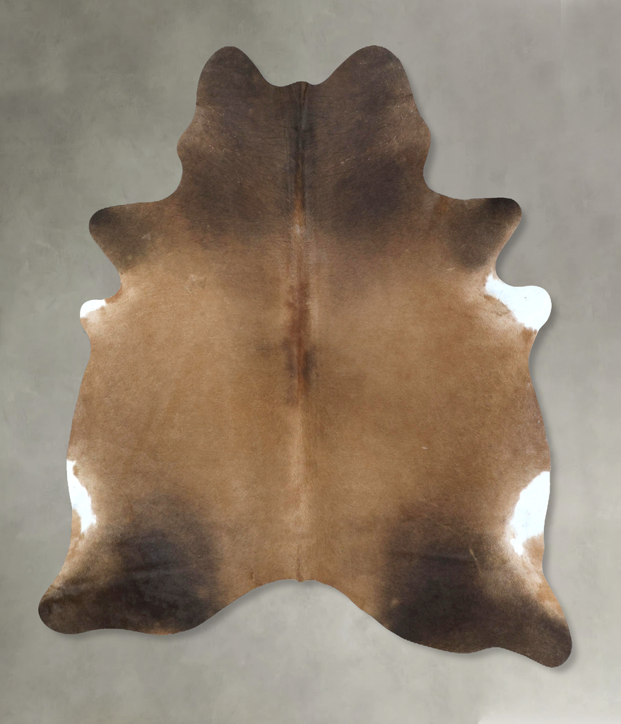 Warm Caramel X-Large Brazilian Cowhide Rug 7'5"H x 5'11"W #B21267 by Hudson Hides
