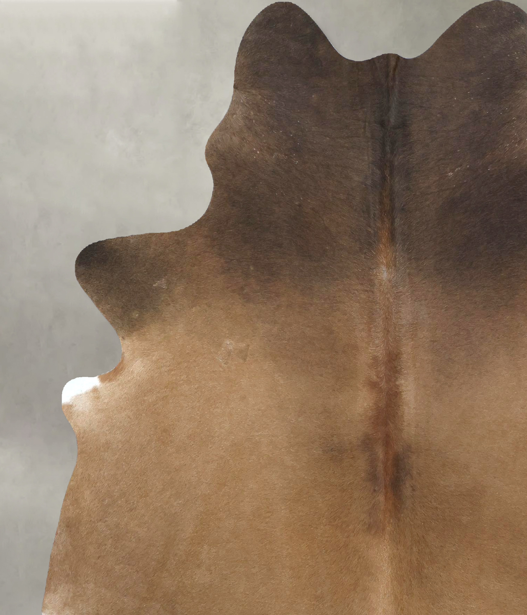 Warm Caramel X-Large Brazilian Cowhide Rug 7'5"H x 5'11"W #B21267 by H