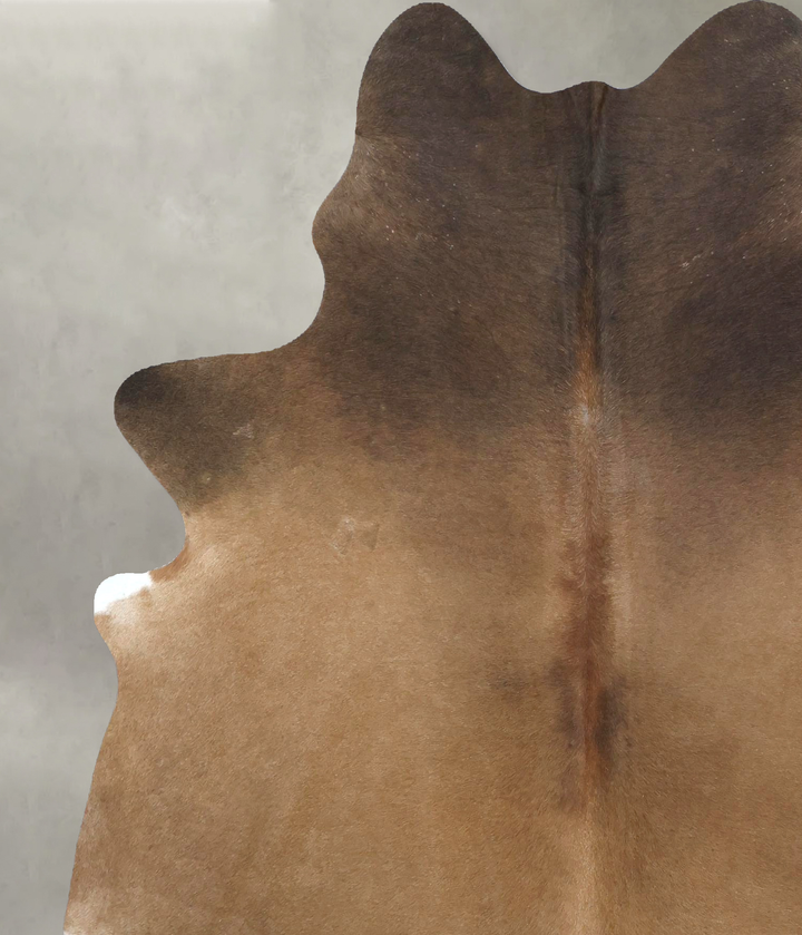 Warm Caramel X-Large Brazilian Cowhide Rug 7'5"H x 5'11"W #B21267 by Hudson Hides