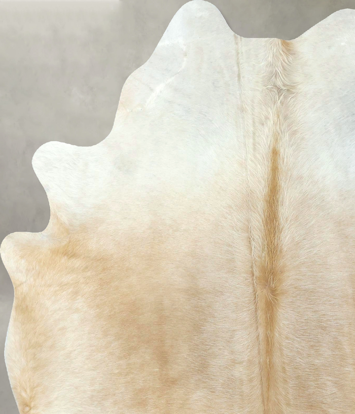 Beige Large Brazilian Cowhide Rug 7'1"H x 5'4"W #B21270 by Hudson Hides