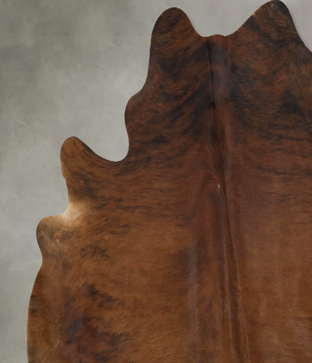Medium Brindle X-Large Brazilian Cowhide Rug 7'1"H x 6'4"W #B21271 by 