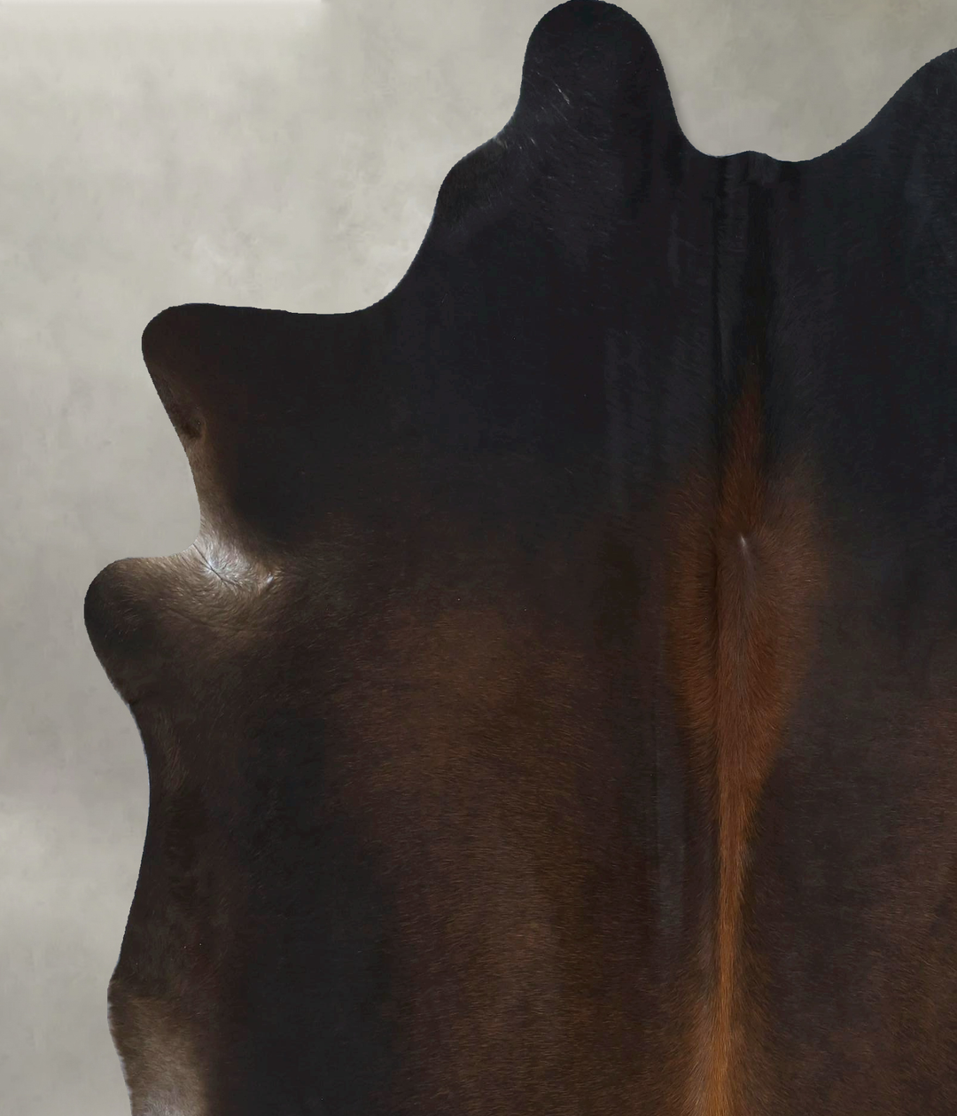 Chocolate X-Large Brazilian Cowhide Rug 7'5"H x 6'3"W #B21275 by Hudso