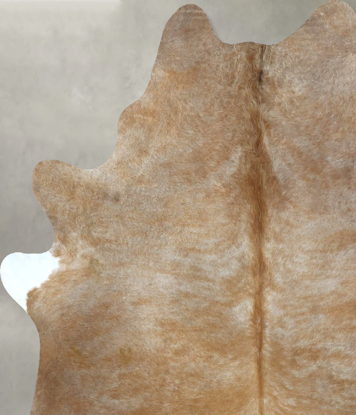 Light Caramel X-Large Brazilian Cowhide Rug 7'2"H x 6'0"W #B21279 by Hudson Hides
