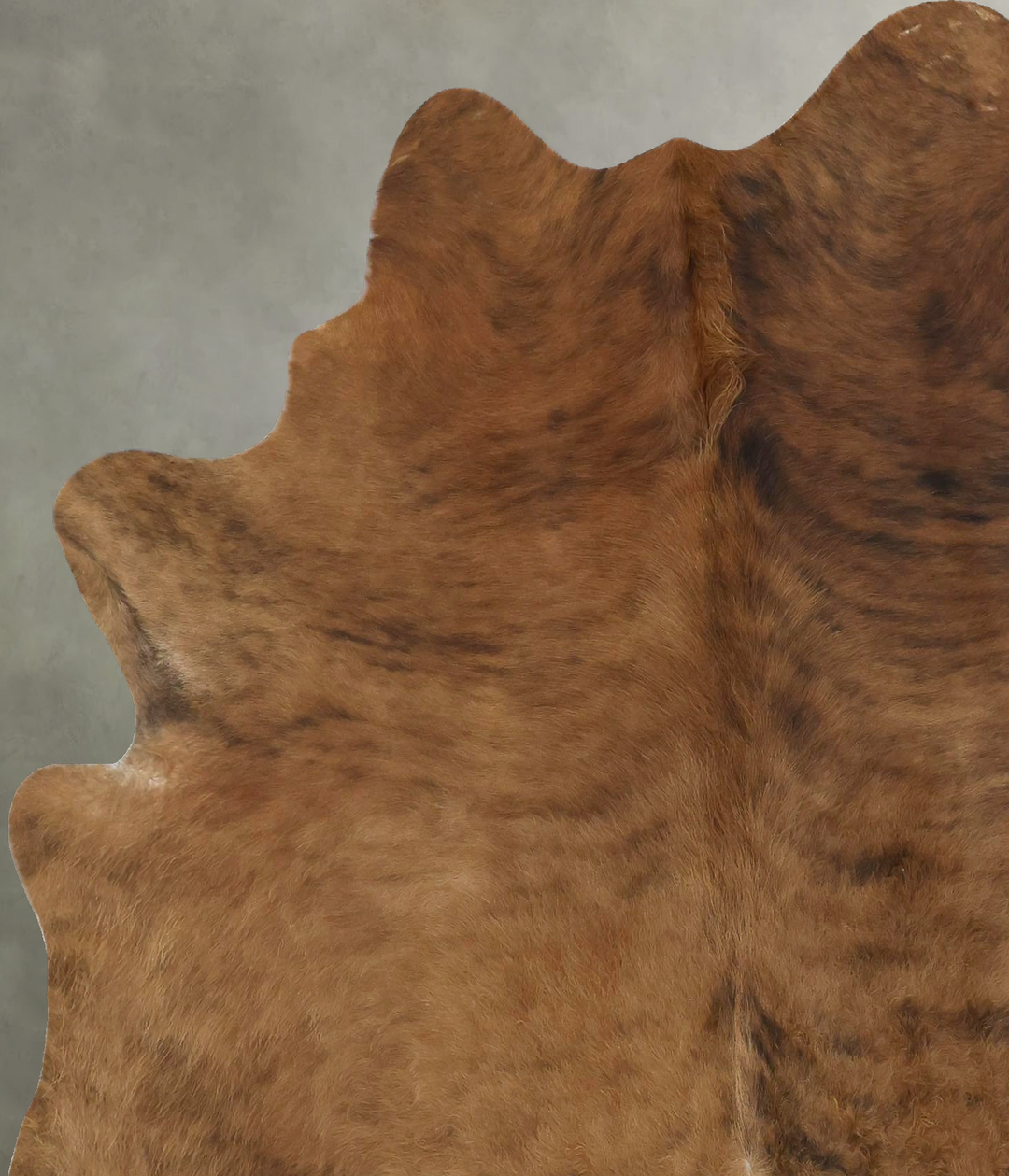 Medium Brindle Large Brazilian Cowhide Rug 6'7"H x 5'8"W #B21282 by Hu