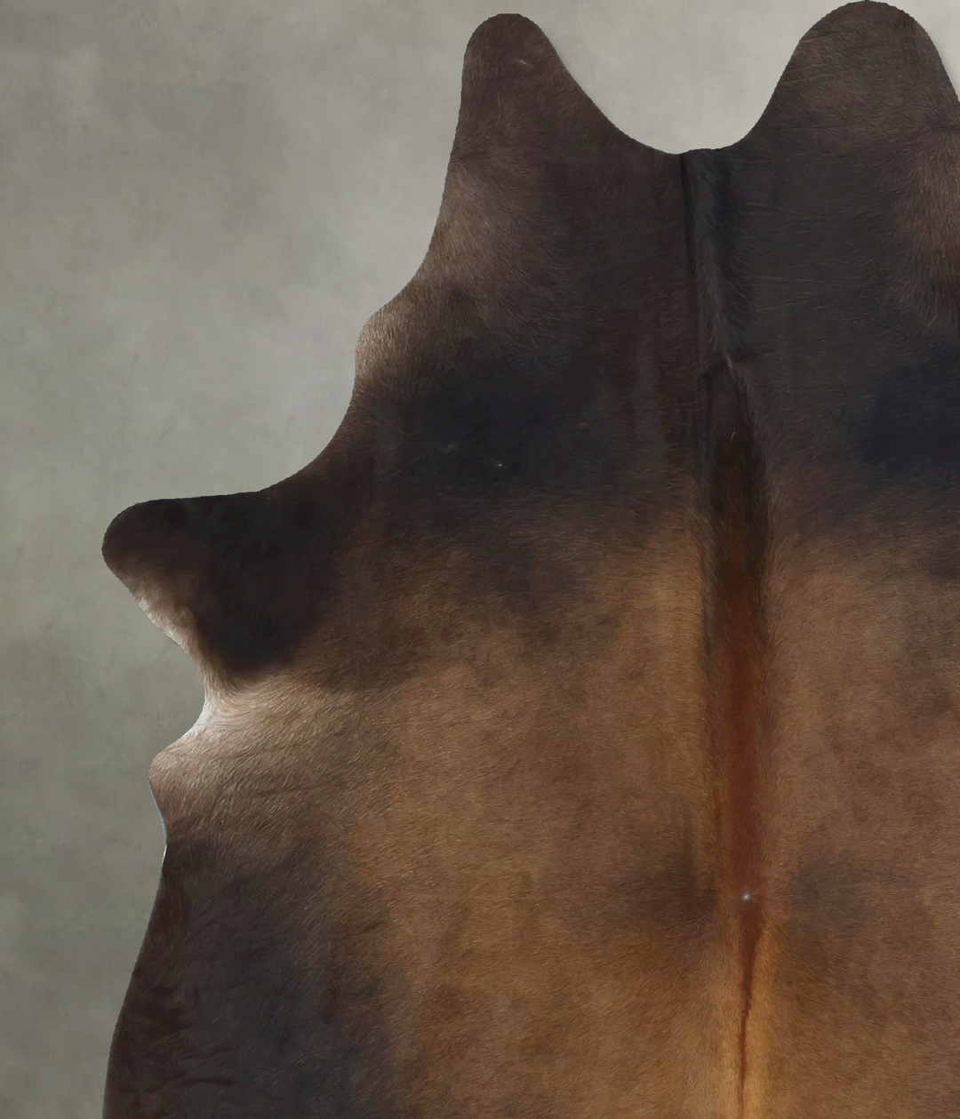 Chocolate Large Brazilian Cowhide Rug 7'1"H x 5'3"W #B21287 by Hudson 