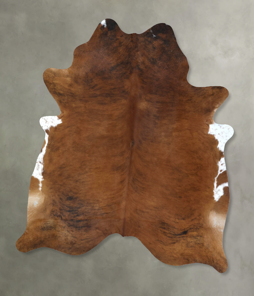 Medium Brindle XX-Large Brazilian Cowhide Rug 8'8"H x 7'0"W #B21292 by Hudson Hides