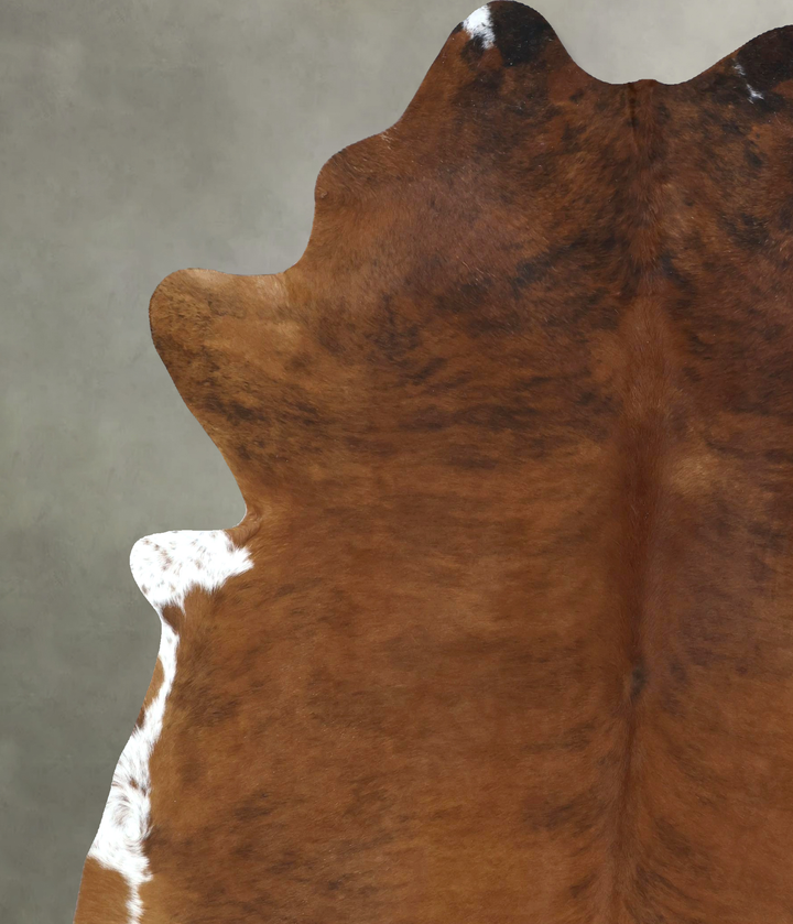Medium Brindle XX-Large Brazilian Cowhide Rug 8'8"H x 7'0"W #B21292 by Hudson Hides