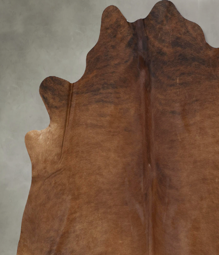 Medium Brindle X-Large Brazilian Cowhide Rug 7'1"H x 6'8"W #B21293 by Hudson Hides