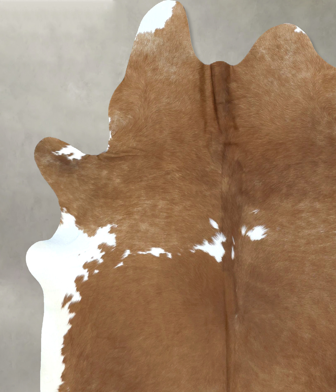 Brown and White Regular XX-Large Brazilian Cowhide Rug 8'1"H x 6'4"W #