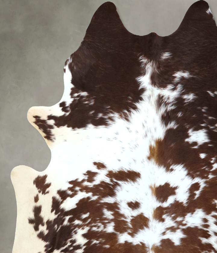 Brown and White XX-Large Brazilian Cowhide Rug 8'0"H x 7'1"W #B21298 by Hudson Hides