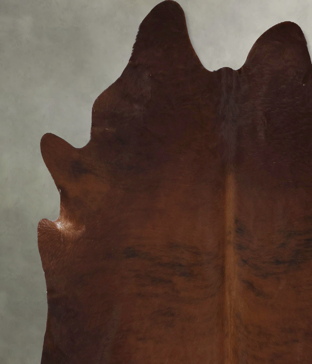 Medium Brindle XX-Large Brazilian Cowhide Rug 8'1"H x 7'2"W #B21300 by