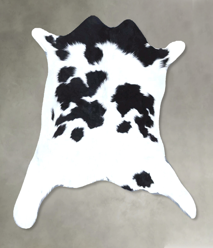 Calfhide Approx 2'x3' #B21308 by Hudson Hides
