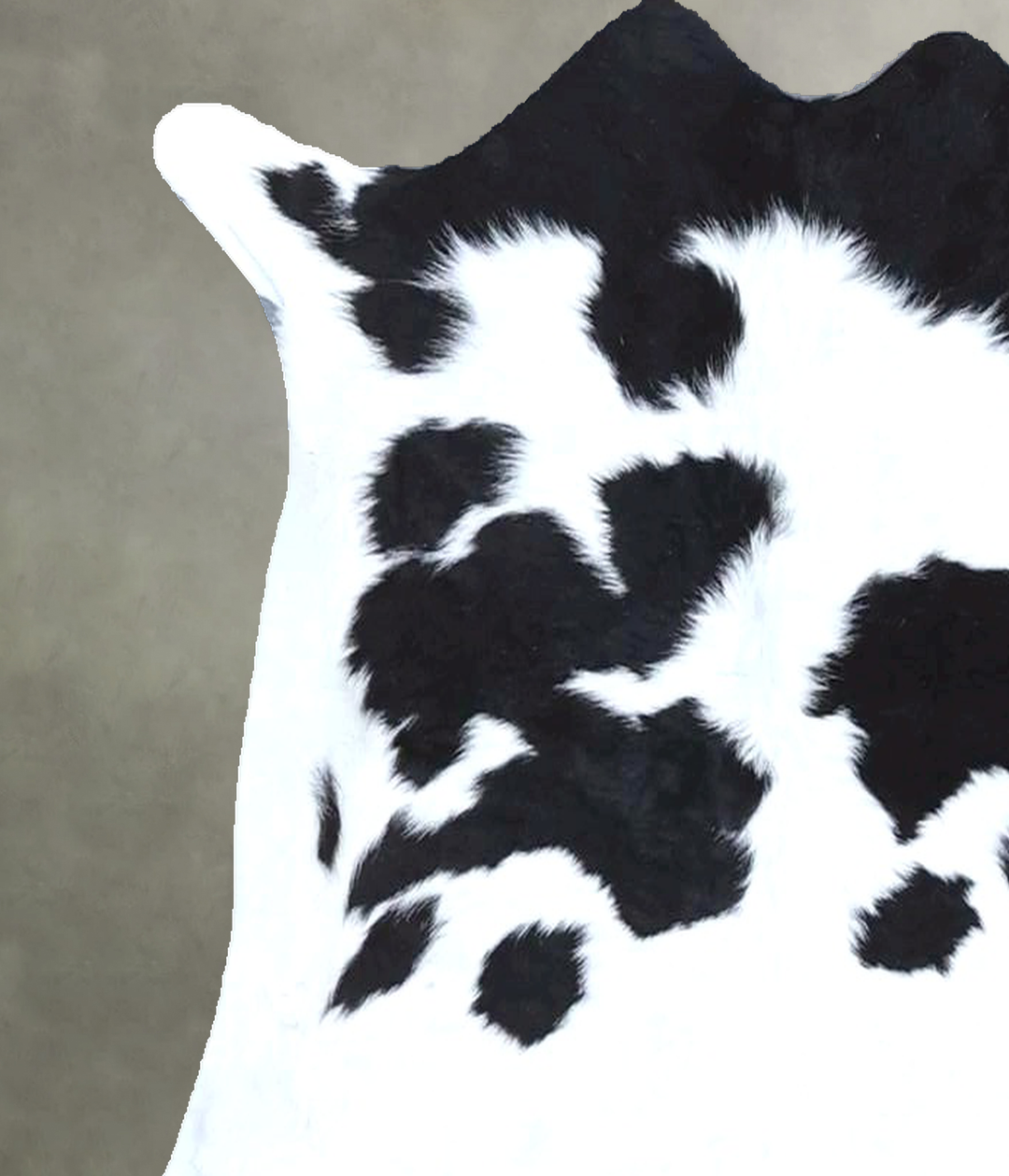 Calfhide Approx 2'x3' #B21308 by Hudson Hides