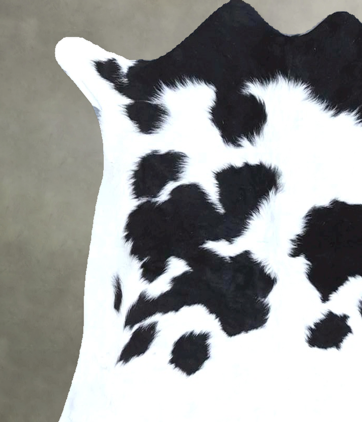 Calfhide Approx 2'x3' #B21308 by Hudson Hides