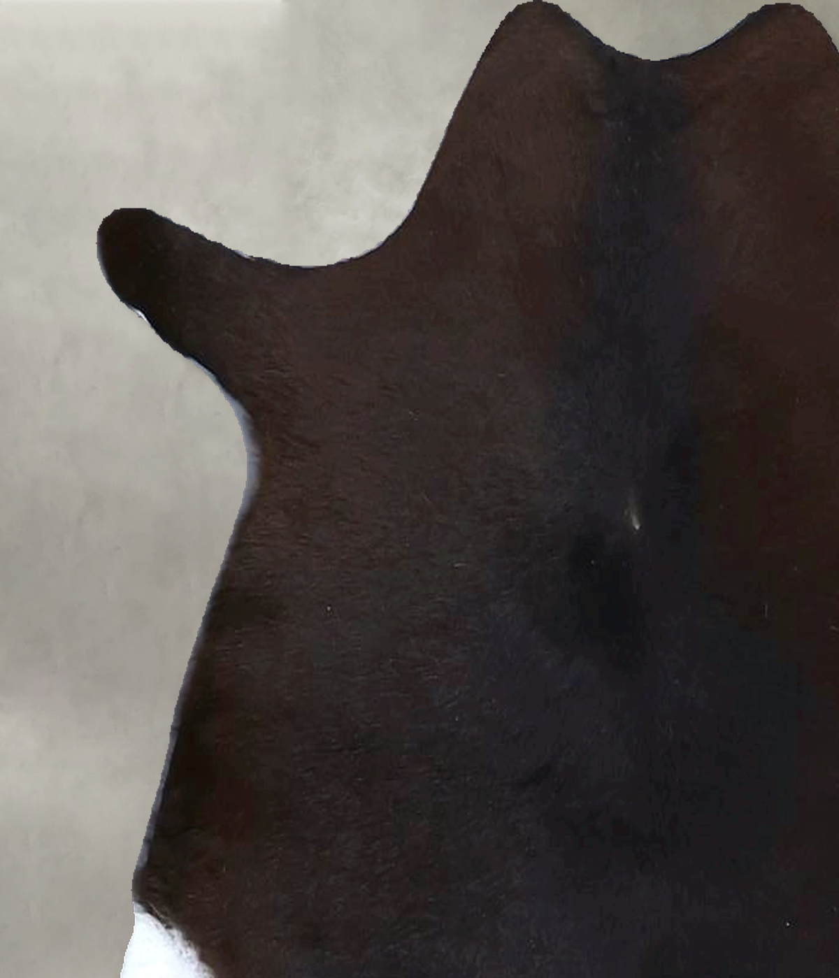 Calfhide Approx 2'x3' #B21313 by Hudson Hides