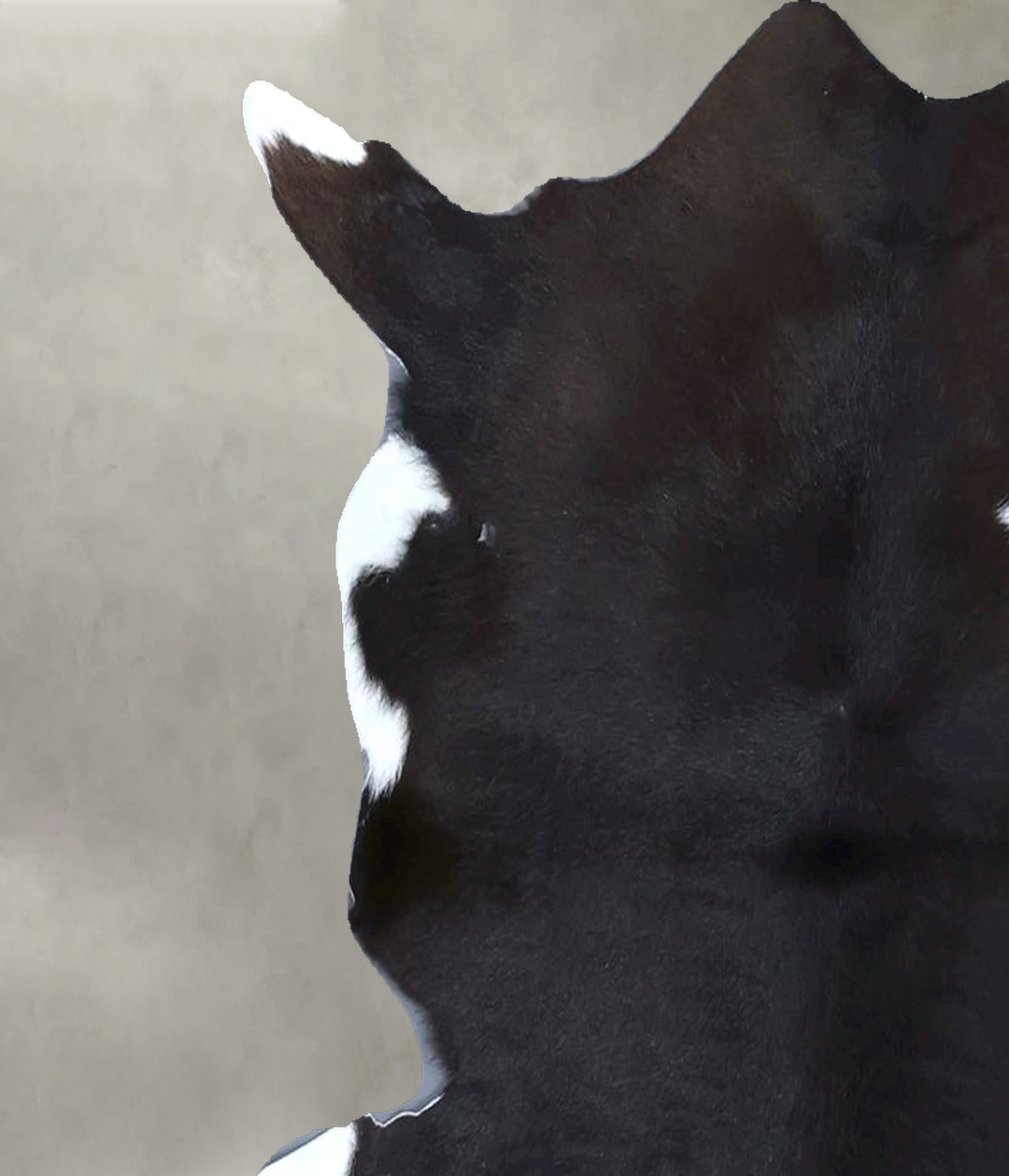 Calfhide Approx 2'x3' #B21319 by Hudson Hides