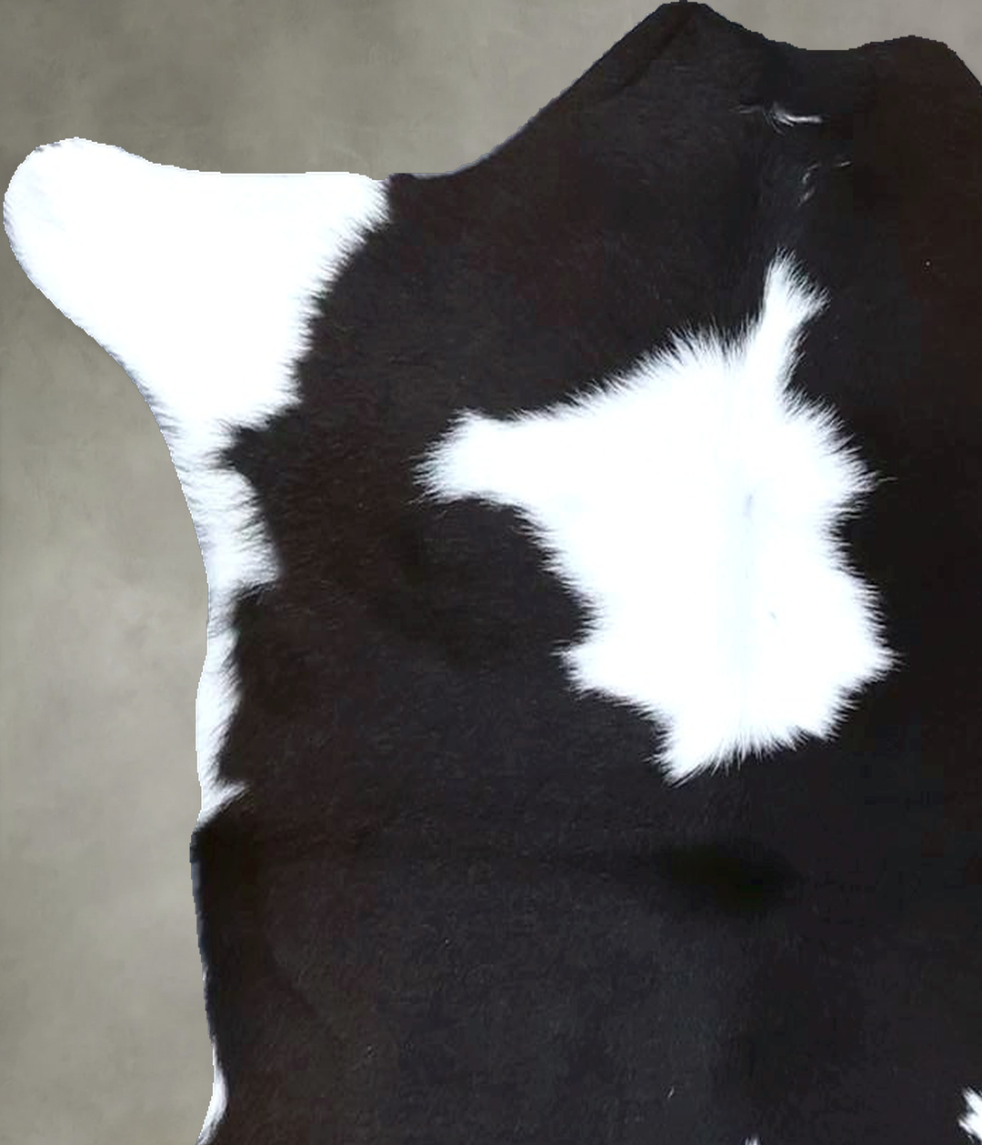Calfhide Approx 2'x3' #B21320 by Hudson Hides