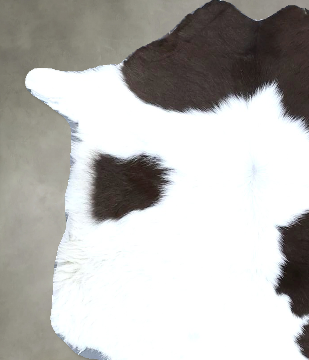 Calfhide Approx 2'x3' #B21321 by Hudson Hides