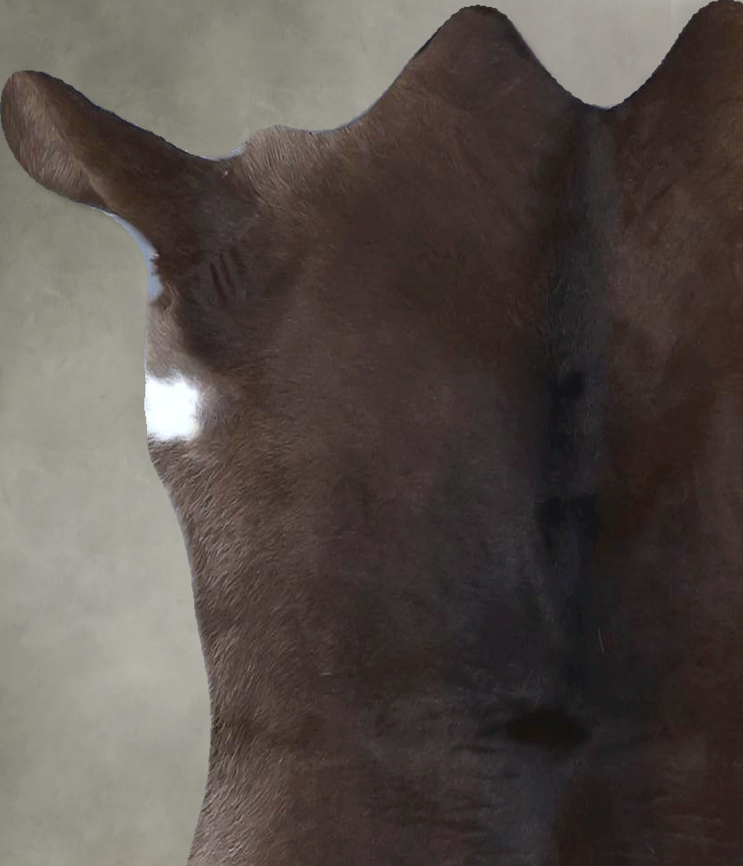 Calfhide Approx 2'x3' #B21322 by Hudson Hides