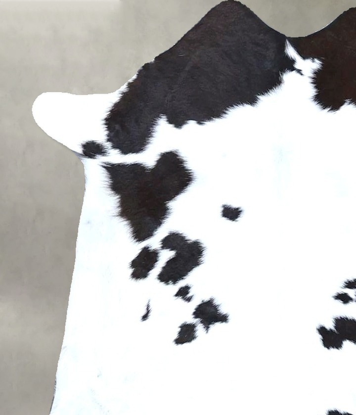 Calfhide Approx 2'x3' #B21324 by Hudson Hides