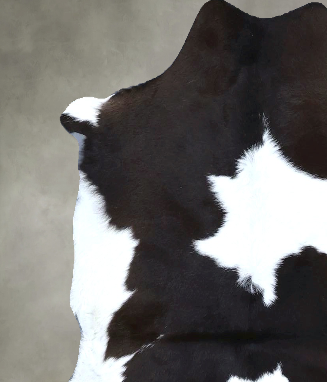 Calfhide Approx 2'x3' #B21326 by Hudson Hides