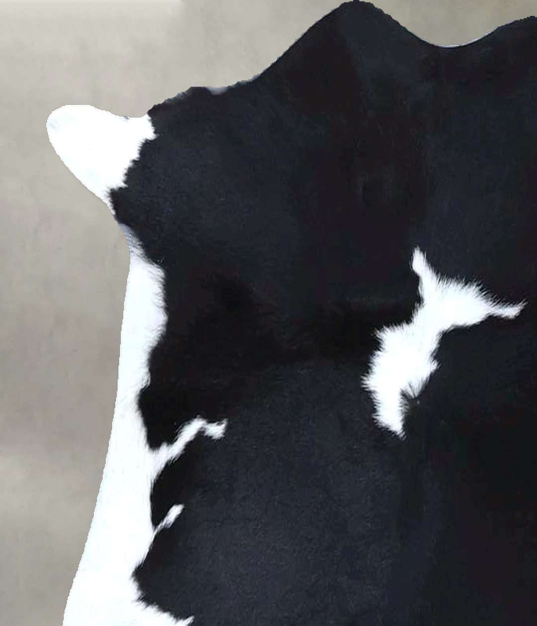 Calfhide Approx 2'x3' #B21328 by Hudson Hides