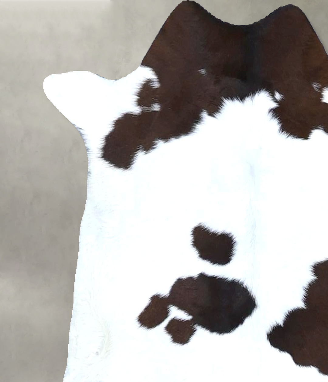 Calfhide Approx 2'x3' #B21336 by Hudson Hides