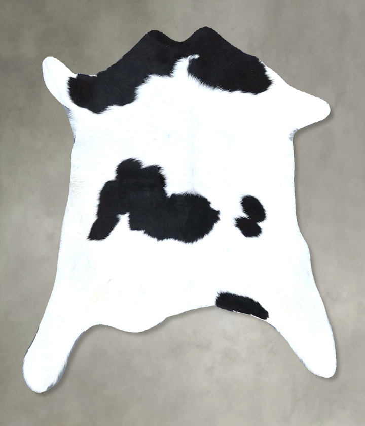 Calfhide Approx 2'x3' #B21337 by Hudson Hides