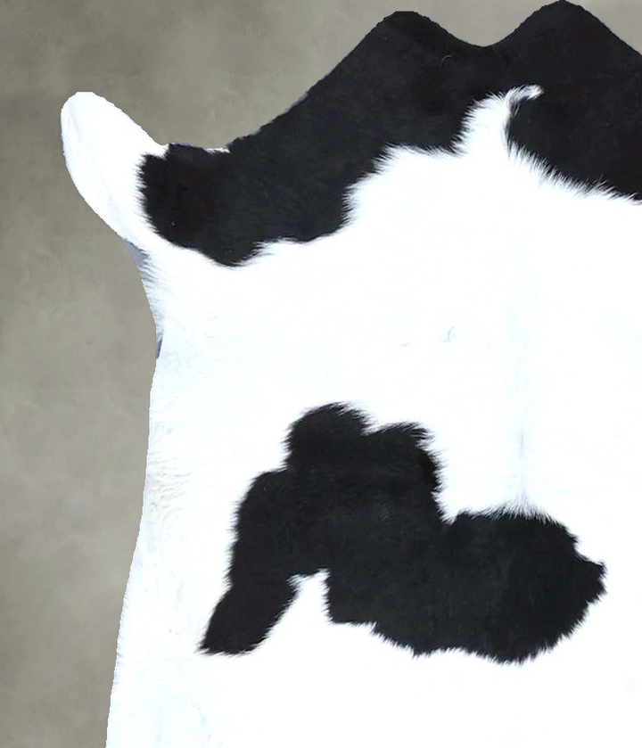 Calfhide Approx 2'x3' #B21337 by Hudson Hides