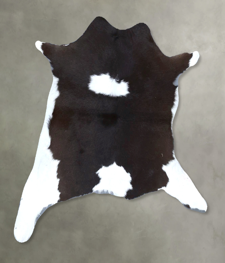 Calfhide Approx 2'x3' #B21338 by Hudson Hides