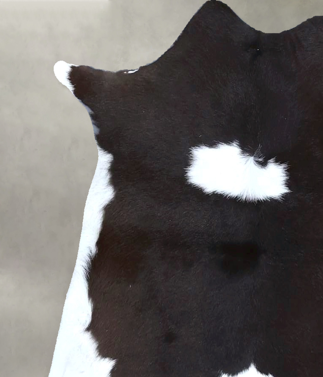 Calfhide Approx 2'x3' #B21338 by Hudson Hides