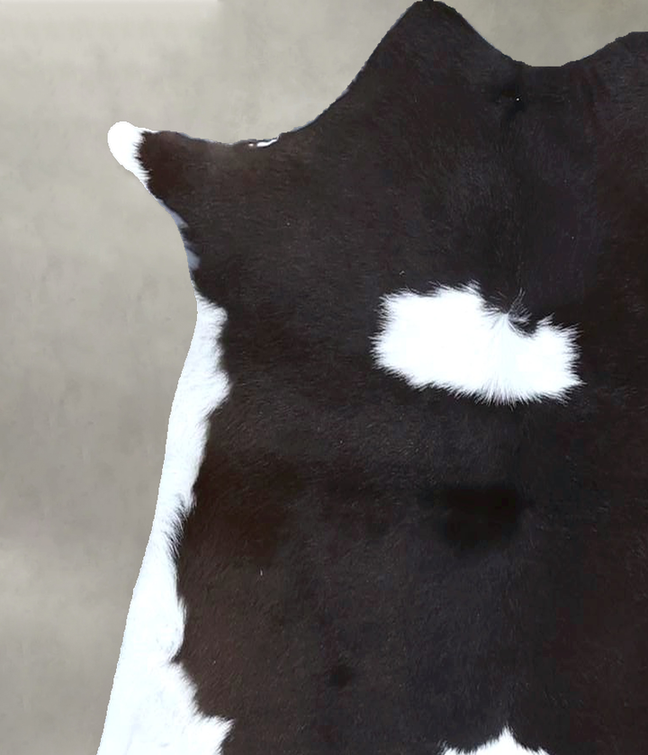 Calfhide Approx 2'x3' #B21338 by Hudson Hides