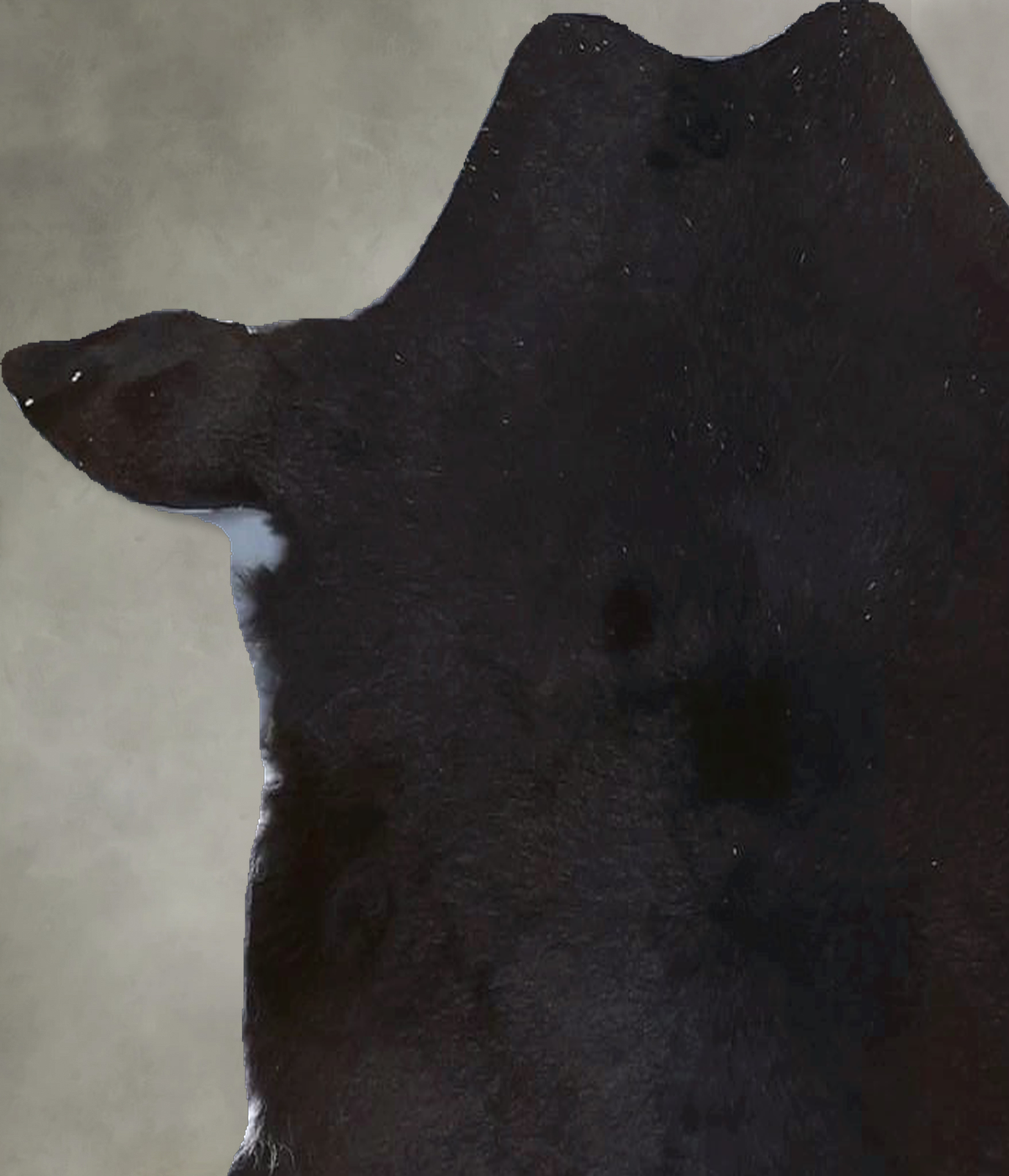 Calfhide Approx 2'x3' #B21342 by Hudson Hides