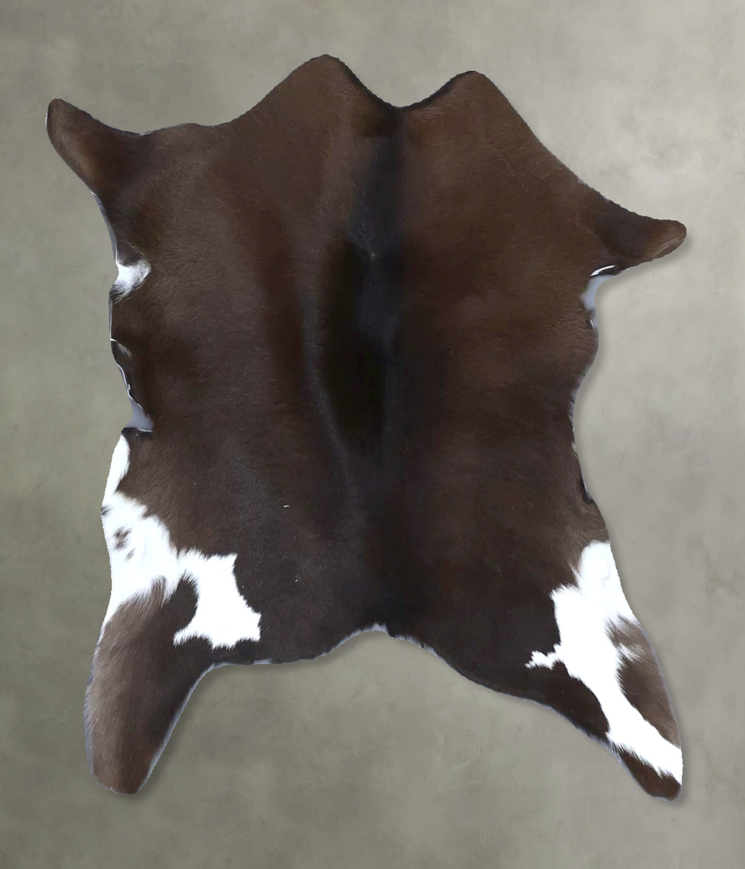 Calfhide Approx 2'x3' #B21345 by Hudson Hides