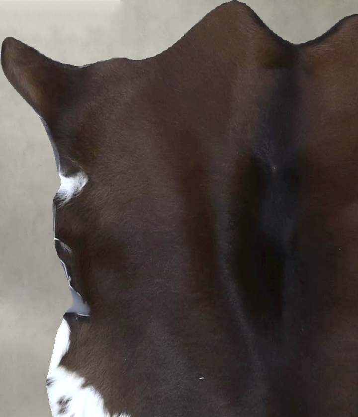 Calfhide Approx 2'x3' #B21345 by Hudson Hides