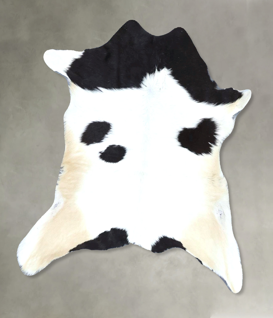 Calfhide Approx 2'x3' #B21348 by Hudson Hides