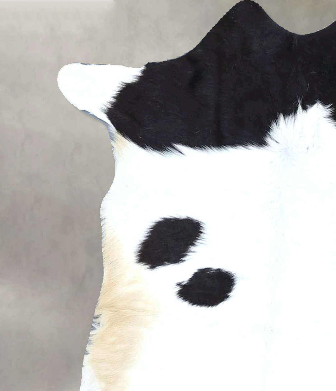 Calfhide Approx 2'x3' #B21348 by Hudson Hides