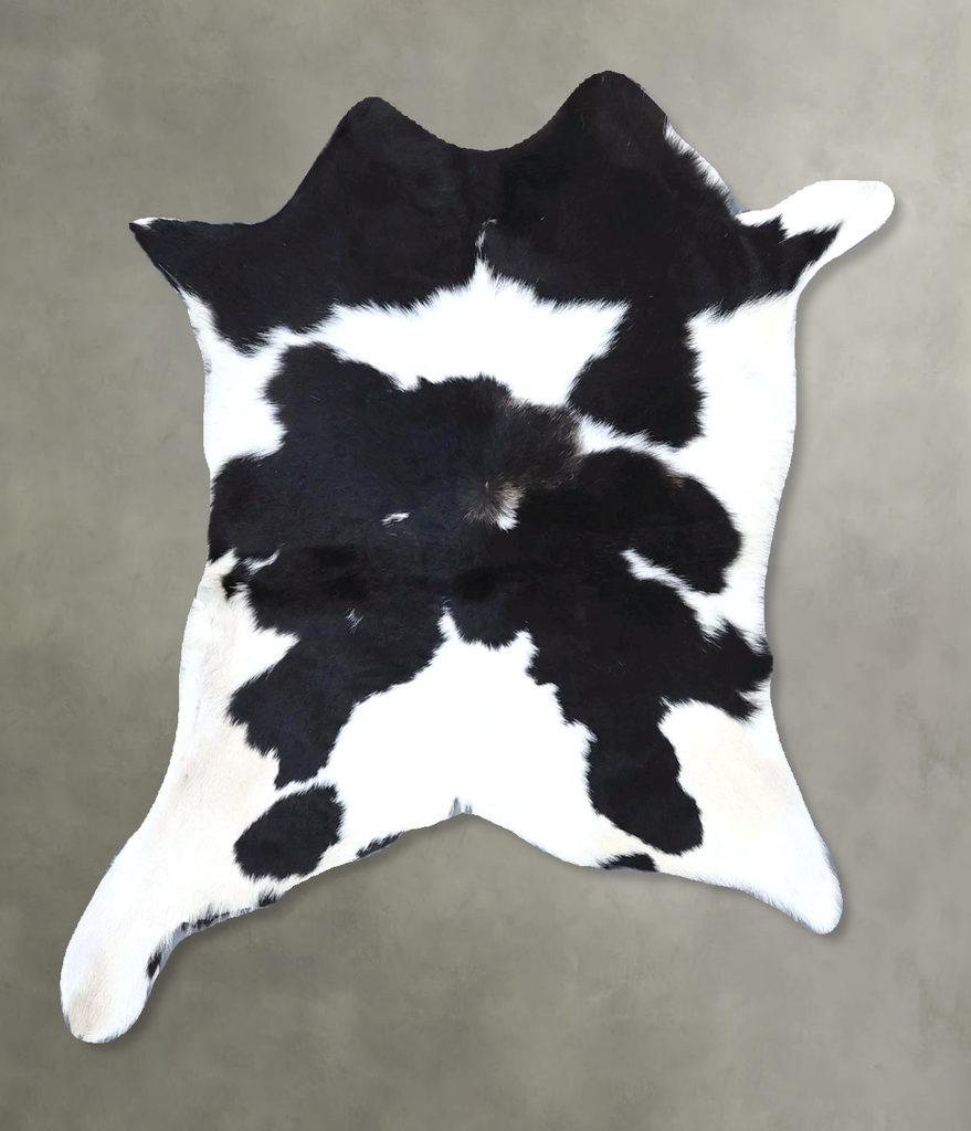 Calfhide Approx 2'x3' #B21350 by Hudson Hides