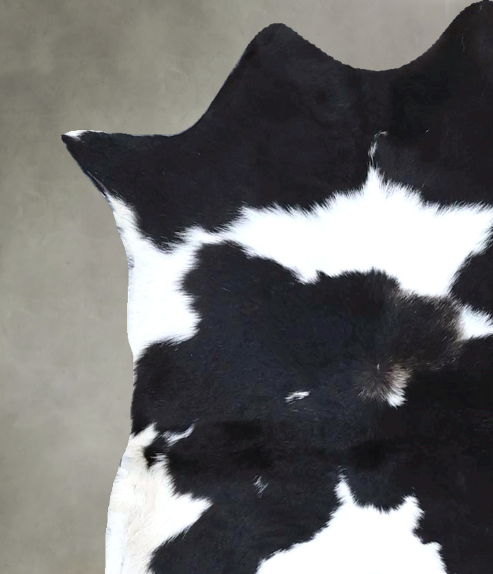 Calfhide Approx 2'x3' #B21350 by Hudson Hides