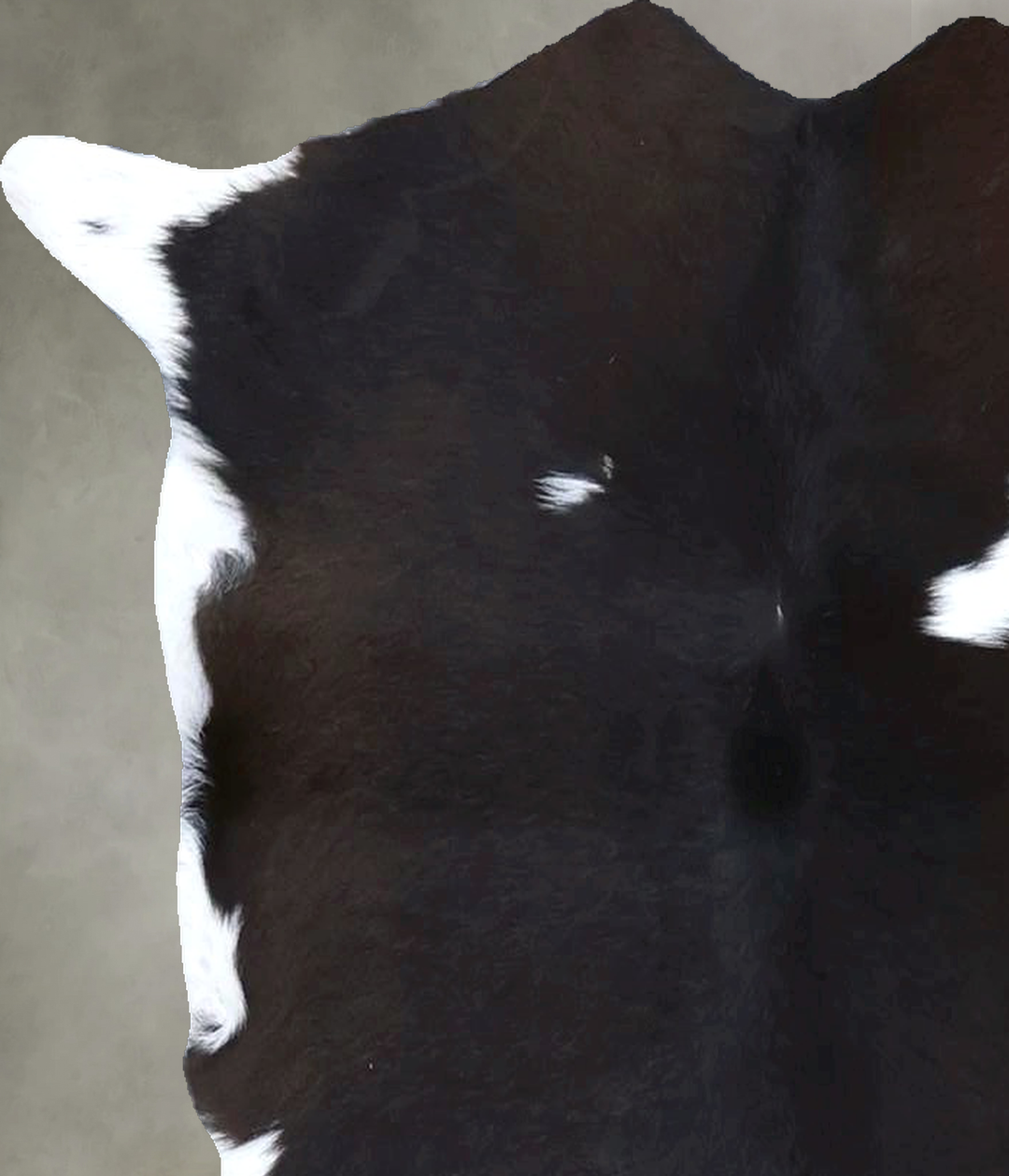 Calfhide Approx 2'x3' #B21356 by Hudson Hides