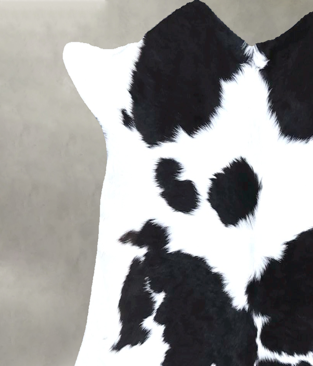 Calfhide Approx 2'x3' #B21362 by Hudson Hides