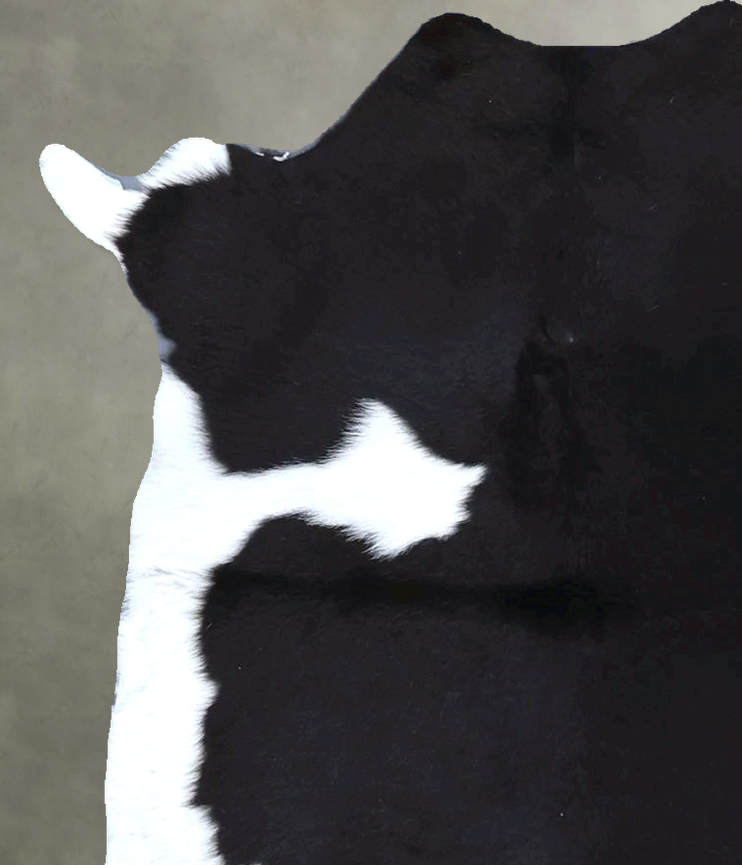 Calfhide Approx 2'x3' #B21363 by Hudson Hides