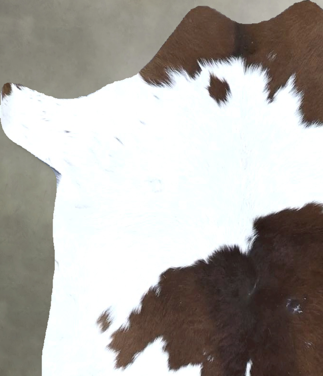 Calfhide Approx 2'x3' #B21364 by Hudson Hides