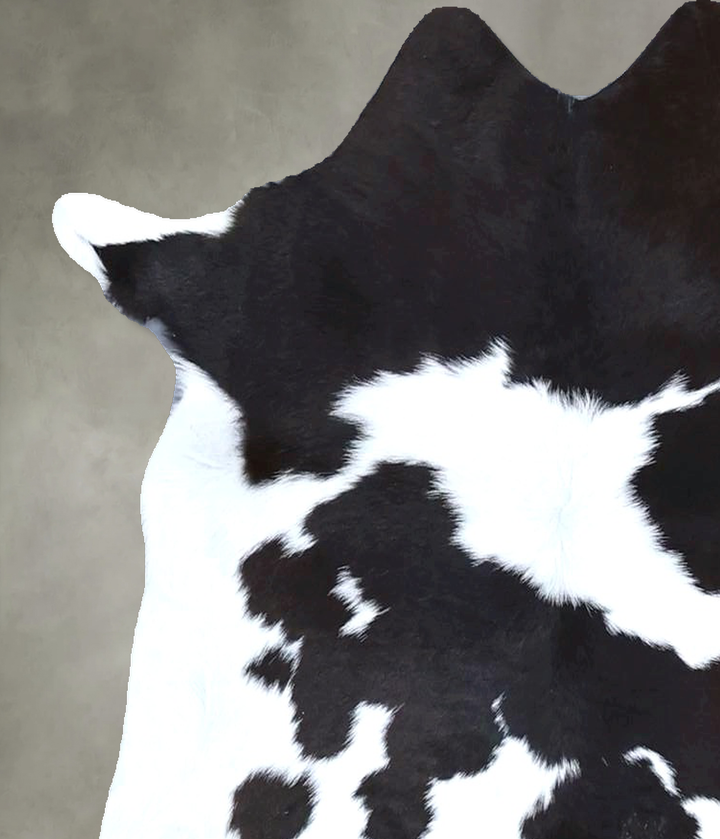 Calfhide Approx 2'x3' #B21367 by Hudson Hides