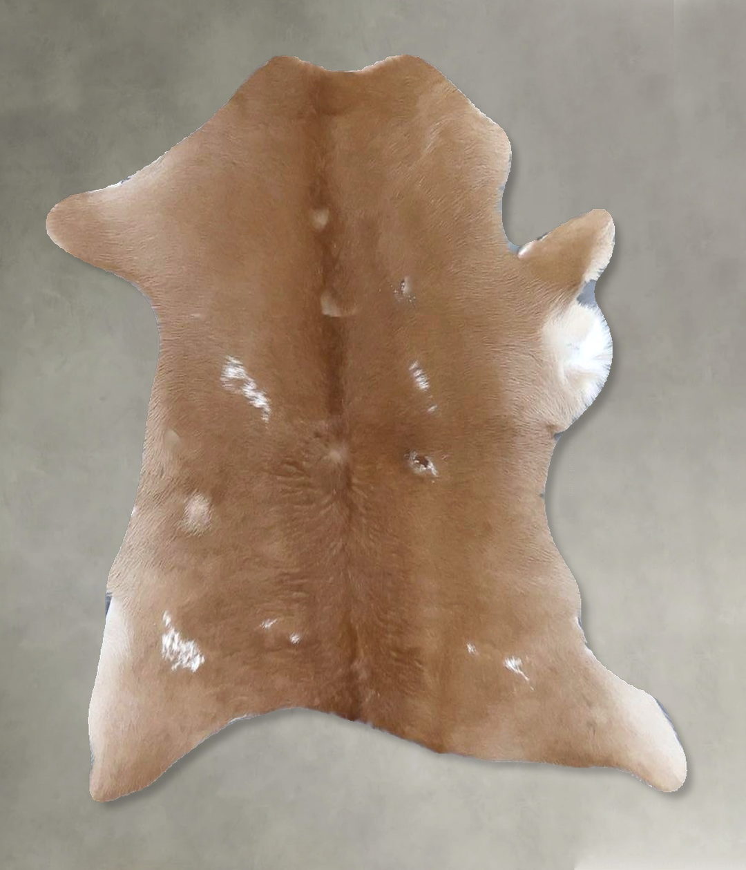 Calfhide Approx 2'x3' #B21370 by Hudson Hides