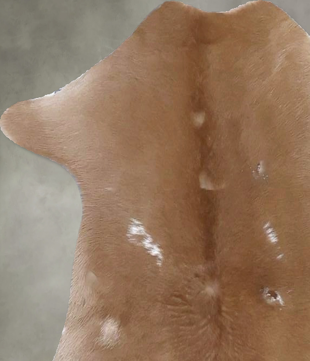 Calfhide Approx 2'x3' #B21370 by Hudson Hides