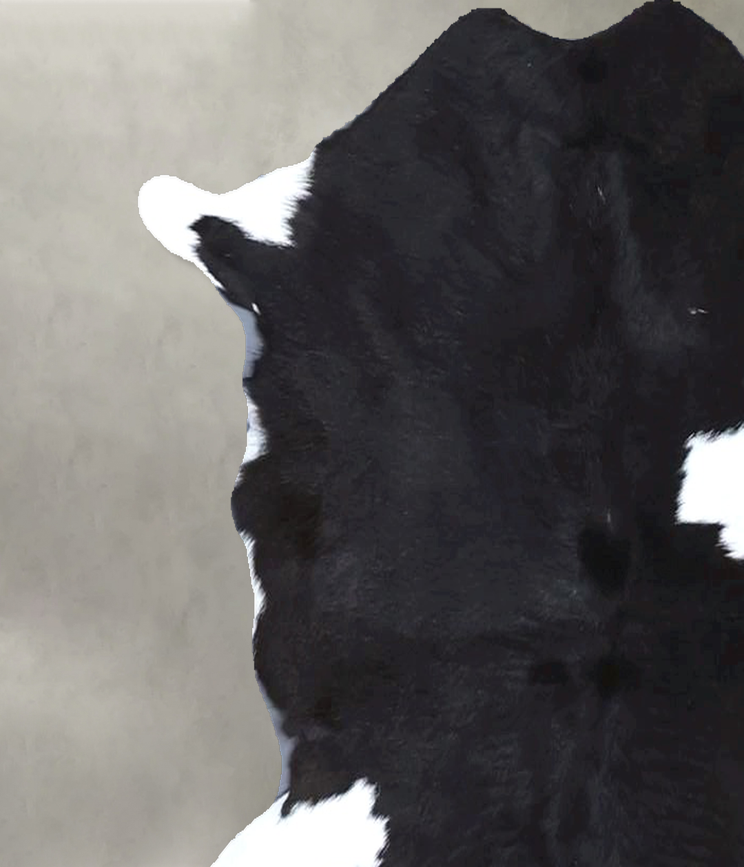 Calfhide Approx 2'x3' #B21371 by Hudson Hides