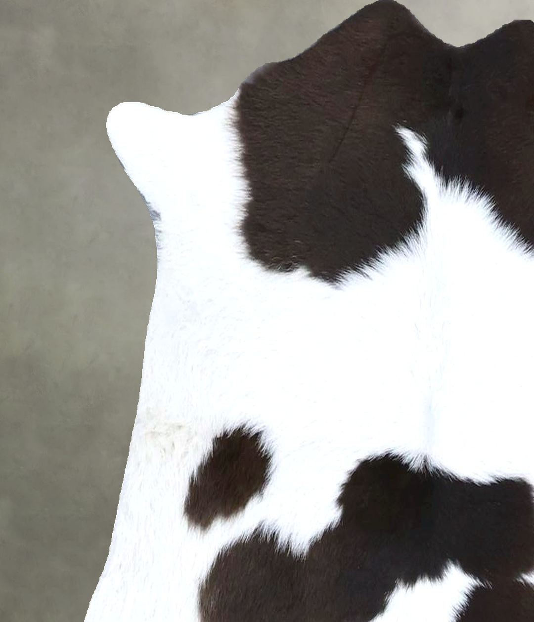 Calfhide Approx 2'x3' #B21376 by Hudson Hides