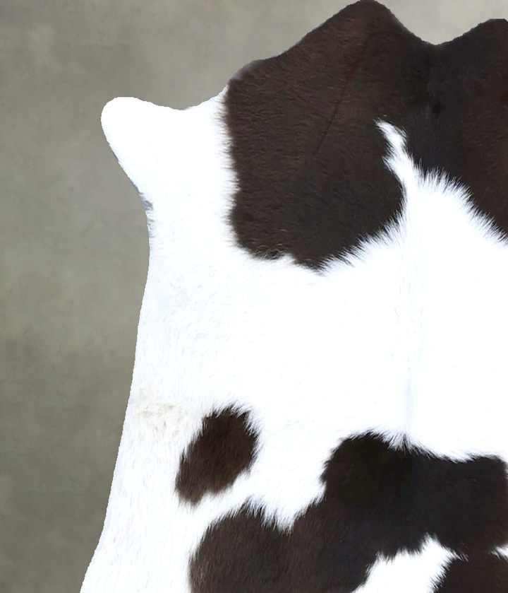 Calfhide Approx 2'x3' #B21376 by Hudson Hides